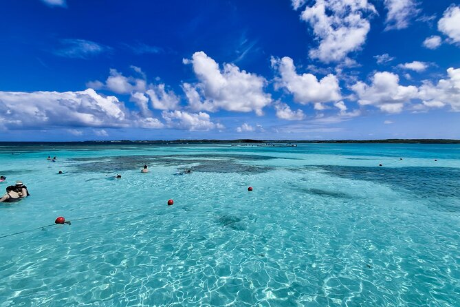 3-Hours Eye-Opening Stingray City Antigua - Transfer R/T included - Why this Stingray City trip feels like a real encounter