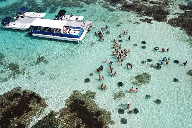 6-Hours Tour East Coast of Antigua: Stingray City, Lunch & Beach - Key points at a glance