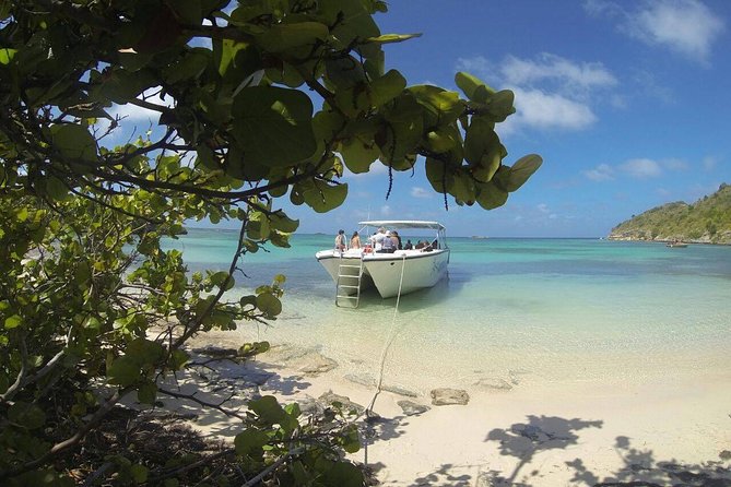 Adventure Antigua - Eli's Original Eco Tour - Long Bay turtle project at Jumby Bay Island, plus the mangrove lesson at Guiana Island