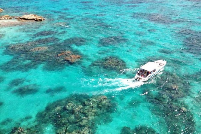 Adventure Antigua - Eli's Original Eco Tour - Snorkeling gear, swim coaching, and what the crew actually does