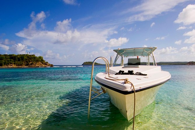 Adventure Antigua - The Xtreme Circumnavigation - Stingray City: your included swim with 45 to 60 minutes in the water