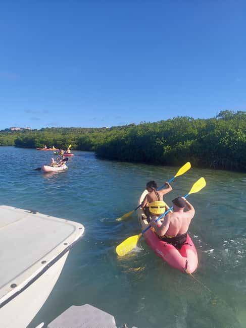 Antigua: Drink Till Your Drunk Rum Drinking & Discovery Tour - Why this Antigua rum and road-trip style feels different