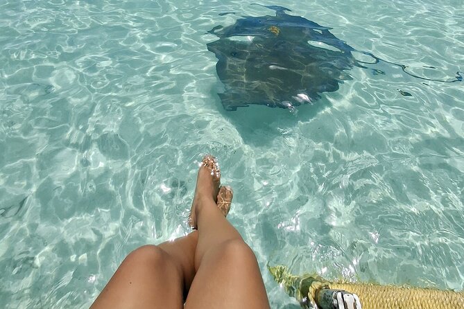 ANTIGUA FROM TOP TO BOTTOM: Stingray City, Beach, lunch & more... - Key things to know before you go