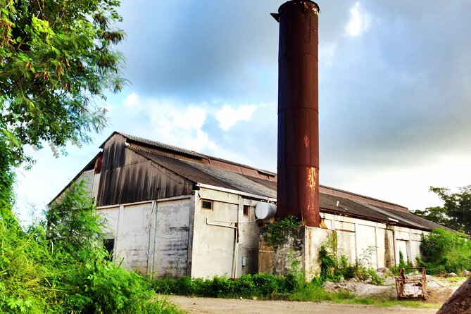 Antigua Historical Sites Island Tour - Why This Tour Works Best for First-Time Antigua Days