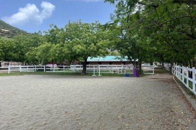 Antigua Horse Ride and Swim