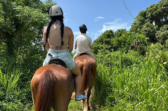 Antigua Horse Ride and Swim - Who should book this, and who might skip it
