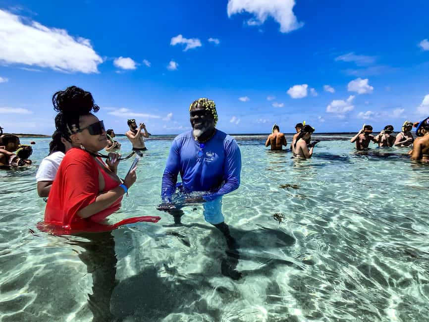 Antigua: Stingray City Experience with Round-Trip Transfer - Quick hits before you go