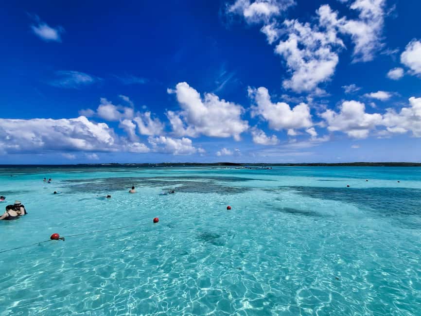 Antigua: Stingray City Experience with Round-Trip Transfer - Stingray City feels different because it is not a tank show