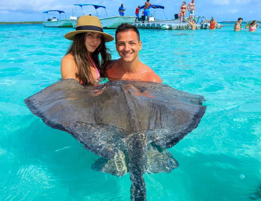 Antigua: Stingray City Experience with Round-Trip Transfer - Getting there: port pickup or resort pickup without the puzzle