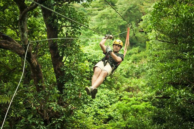 Antigua Zipline Canopy Adventure from St John’s - Key Things You’ll Notice Right Away