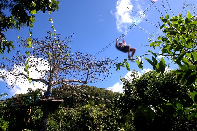 Antigua Zipline Canopy Adventure from St John’s - Antigua Zipline Canopy Adventure: Why This One Works