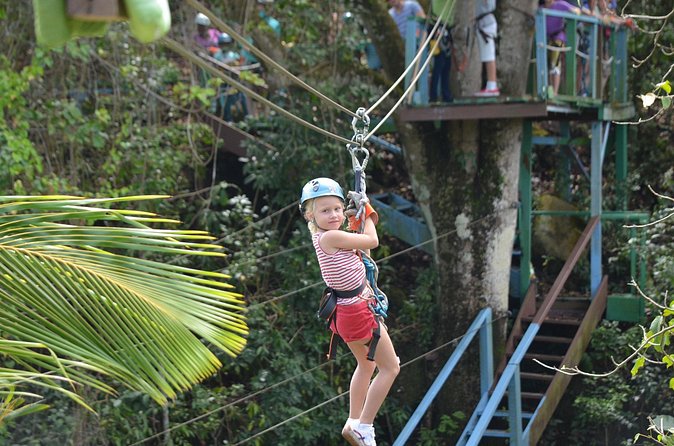 Antigua Zipline Canopy Adventure from St John’s - The Aerial Course: Ziplines, Rope Challenges, and Suspension Bridges