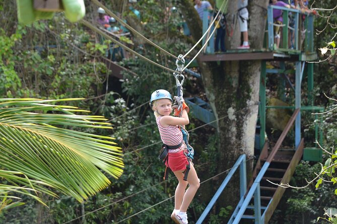 Antigua Zipline Canopy Adventure from St John’s - What the Rainforest View Gives You That Beaches Don’t