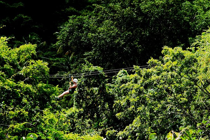 Antigua Zipline Canopy Adventure from St John’s - Photos, Gift Shop, and the $15 Reality Check