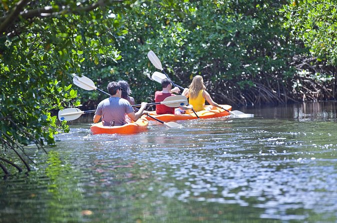 Antigua Zipline & Kayaking Combo From St. John's - Great Bird Island: swimming, snorkeling, and lunch as the finale