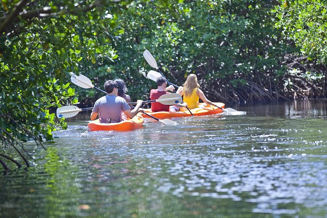 Antigua Zipline & Kayaking Combo From St. John's - Price and value: what $222.47 buys you in real time