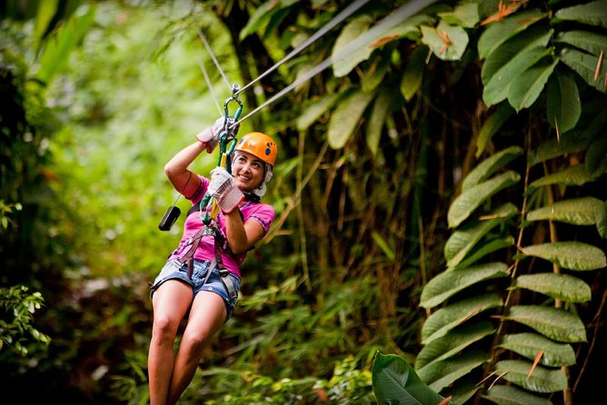 Antigua Zipline & Kayaking Combo From St. John's - Zipline Canopy Park: eight lines, including a serious height