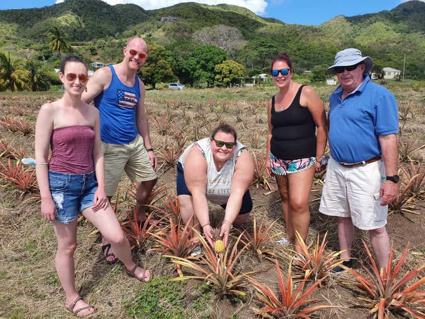 Antiguan experience home tour with local guide with lunch - The village drive and the visitor center photo stop