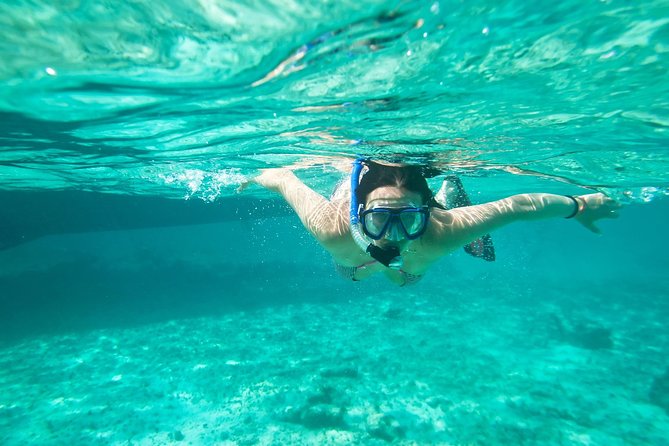 Cades Reef Snorkel Cruise from St. John's Antigua - Key highlights to know before you go