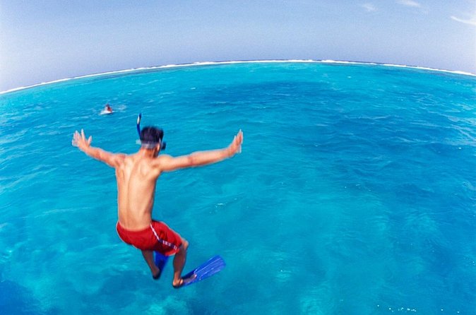 Cades Reef Snorkel Cruise from St. John's Antigua - Who should book this Cades Reef cruise, and who might pass