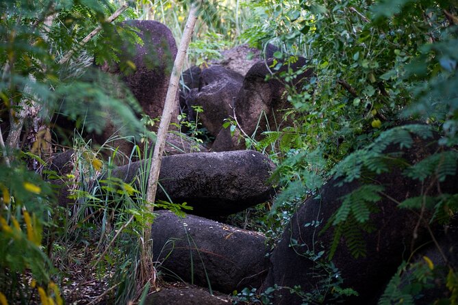 Caribbean Stonehenge - Hike on Green Castle Hill, Antigua. - The timing choices, sunrise vs morning vs evening