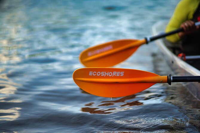 Clear Kayak Tour in Mangrove Antigua - Why Antigua Mangroves Feel Different From a Clear Kayak