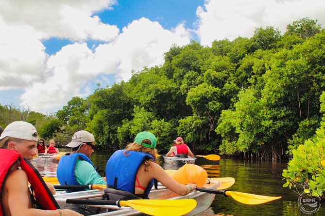 Clear Kayak Tour in Mangrove Antigua - The Crystal Kayak Setup: Glass-Bottom Viewing Without the Hassle