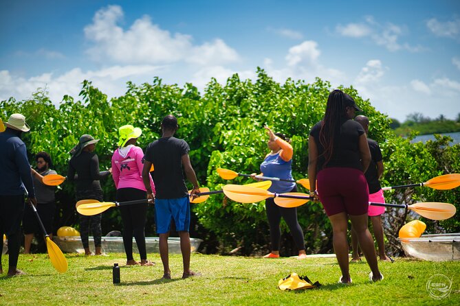 Clear Kayak Tour in Mangrove Antigua - Logistics That Actually Matter: Time, Meeting Point, and Small Group Feel