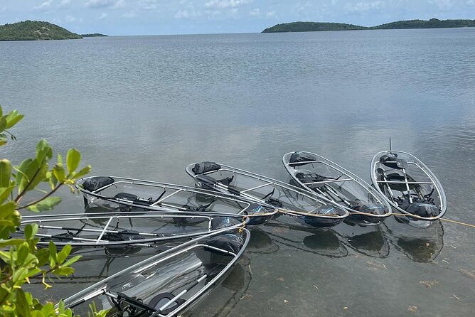 Crystal Kayak & Snorkel Eco Tour (with transfer) - Meeting Point Near Willikies and What the 9:00 am Start Means