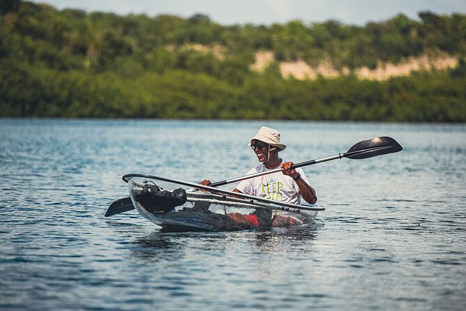 Crystal Kayak & Snorkel Eco Tour (with transfer) - How Guides Turn Wildlife Into Real Learning (Not Just Sightseeing)