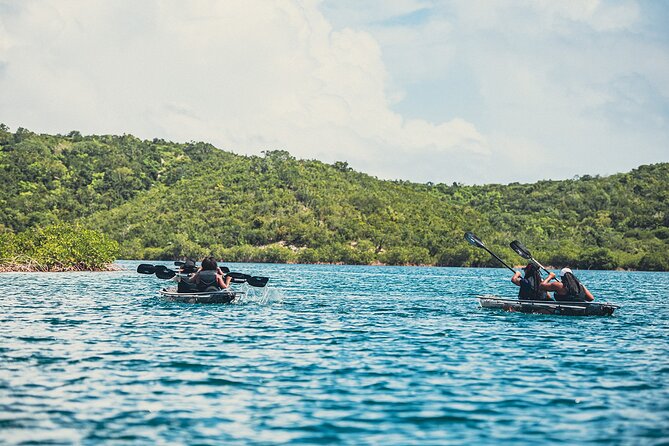 Crystal Kayak & Snorkel Eco Tour (with transfer) - Snorkeling After the Paddle, Reef Reality, and Tide-Based Changes