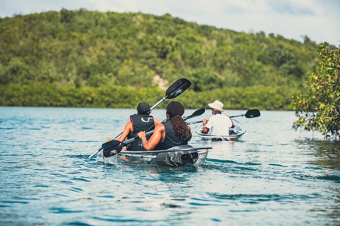Crystal Kayak & Snorkel Eco Tour (with transfer) - Safety, Support, and the Tow-Boat Detail That Saves Days