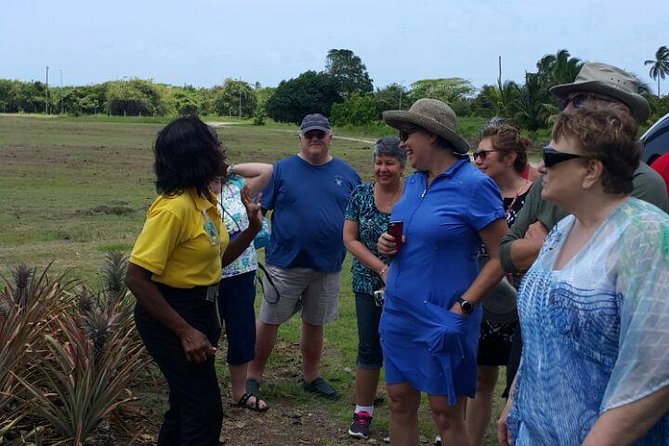 Cultural and Historical Home Tour in The Antiguan Experience - A 3-hour Antigua circuit that swaps crowds for characters