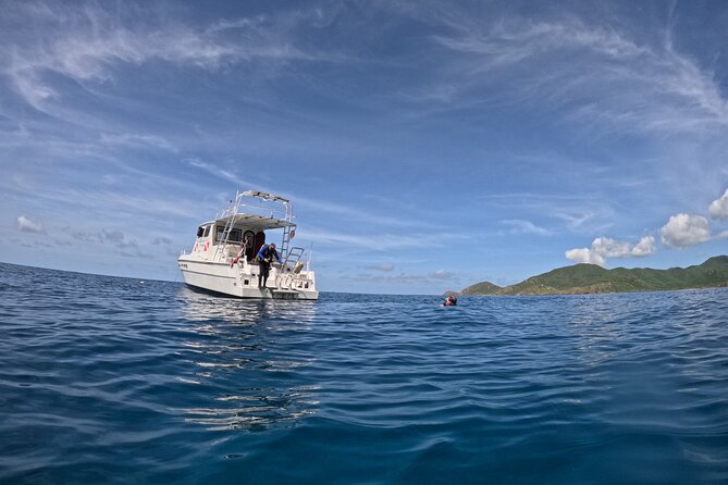 DiveCarib - An Eco-Friendly Certified Diver Trip in Antigua - Antigua’s Morning Underwater Plan, and What Makes It Feel Worth It