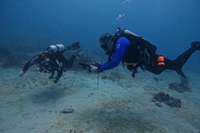 DiveCarib - An Eco-Friendly Certified Diver Trip in Antigua - The Pre-Water Routine: Intro, Briefing, and Equipment Setup