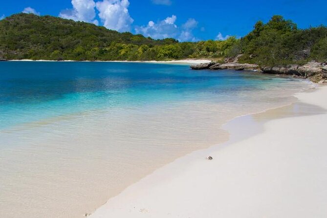 FANTASTIC Green Island and Sea Turtles - Half Day share boat trip - Why Green Island Works So Well: Timing and a Real Small-Group Beach