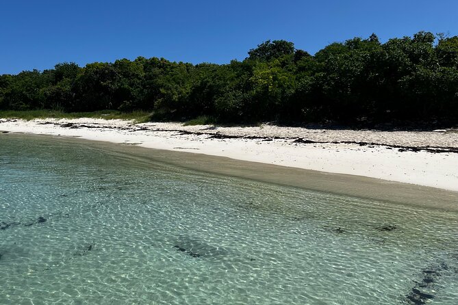 FANTASTIC Green Island and Sea Turtles - Half Day share boat trip - Getting There on Antigua: The 8:15am Start and the Willikies Connection