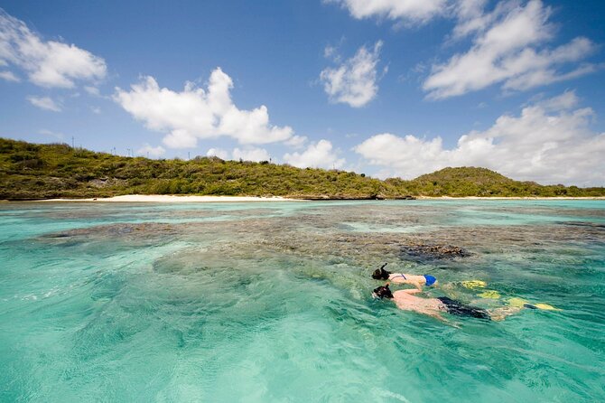 FANTASTIC Green Island and Sea Turtles - Half Day share boat trip - Price and Value: Is $179.90 Fair for This Kind of Tour?