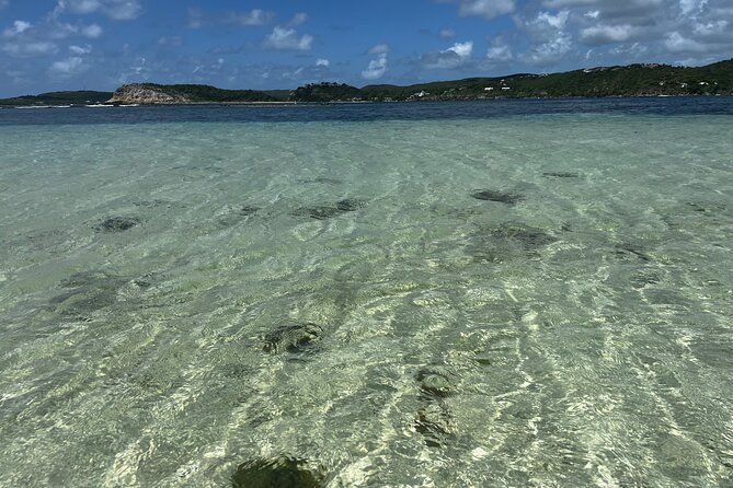 FANTASTIC Green Island and Sea Turtles - Half Day share boat trip - Who This Tour Fits Best (and Who Might Want a Different Plan)