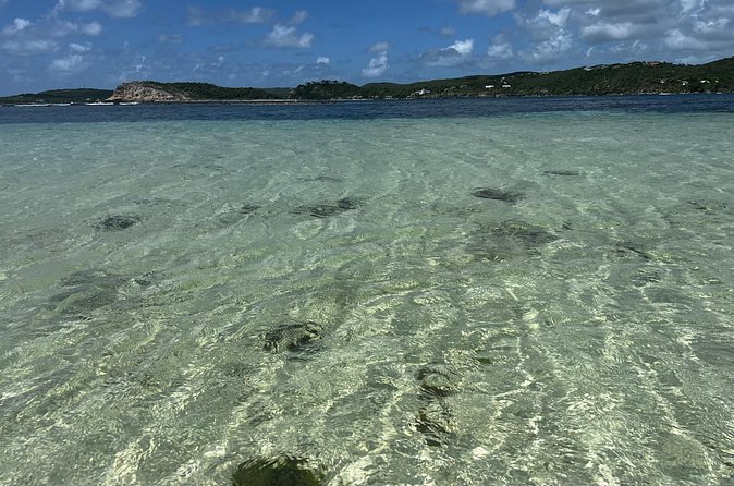 FANTASTIC Green Island and Sea Turtles - Half Day share boat trip - What to Pack for Comfort and Turtle-Spotting Success