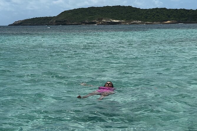 FANTASTIC Green Island and Sea Turtles - Half Day share boat trip - Should You Book This Green Island and Sea Turtles Half-Day Trip?