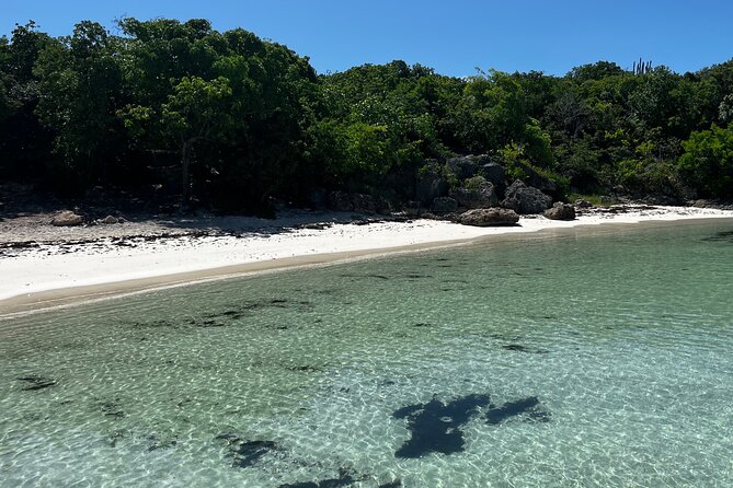 FANTASTIC Green Island and Sea Turtles - Half Day share boat trip - Green Island Stop: Desert-Beach Feel, Sea Turtles, and Natural Pools