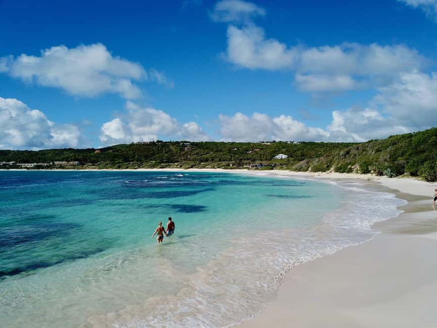 From St John's: Half Moon Bay Beach Half-Day Trip by Van - Key highlights you’ll feel right away
