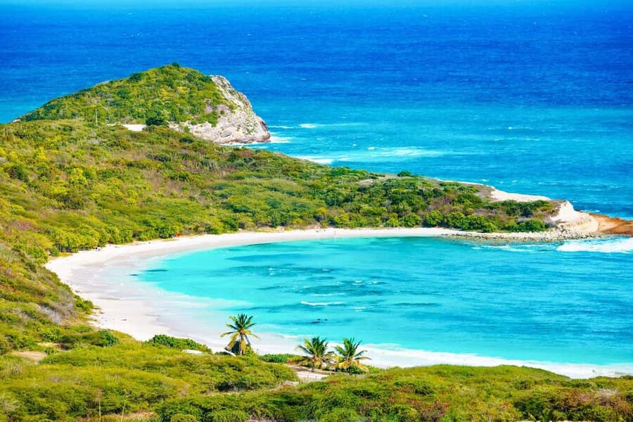From St John's: Half Moon Bay Beach Half-Day Trip by Van - Half Moon Bay from St John’s: why this quiet crescent works