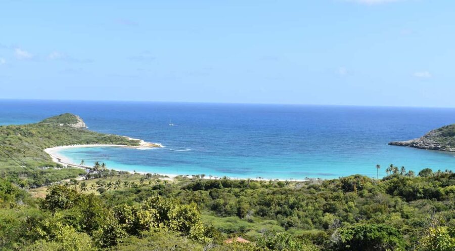 From St John's: Half Moon Bay Beach Half-Day Trip by Van - Drinks, extras, and why the guide makes a difference