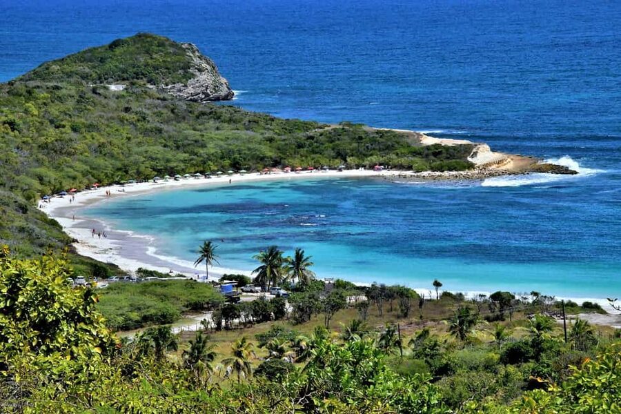 From St John's: Half Moon Bay Beach Half-Day Trip by Van - Food is not included: how to plan your half-day without stress