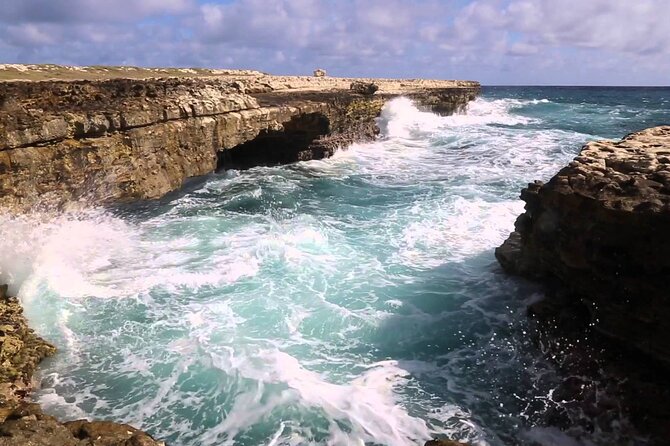 Half-Day Tour: A Taste of Paradise and History of Antigua - Key highlights worth your attention