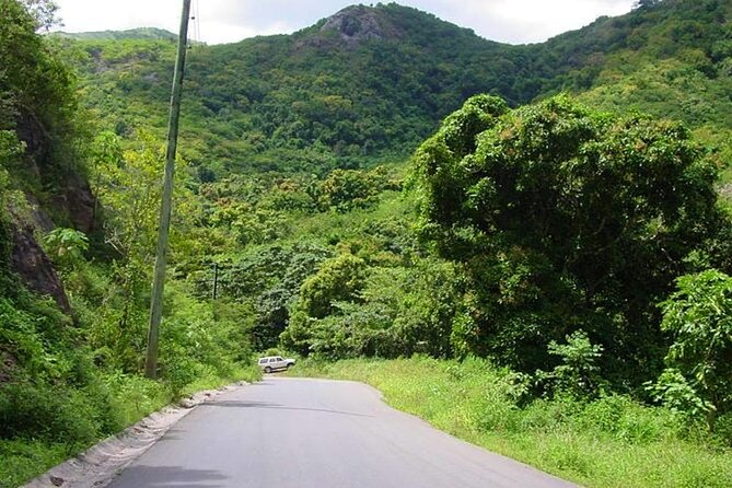 Half-Day Tour: A Taste of Paradise and History of Antigua - Stop 1: Betty’s Hope and why sugar is the first chapter