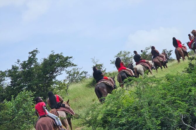 Horseback Riding at Hawksbill Beach in Five islands Antigua - Where you meet at Peggy Pond Bar and Grill (and how not to stress)