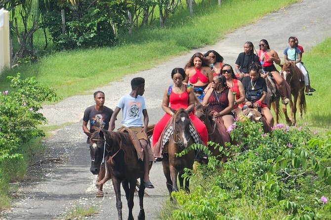 Horseback Riding at Hawksbill Beach in Five islands Antigua - Price and value: $120, plus the two things that might cost extra